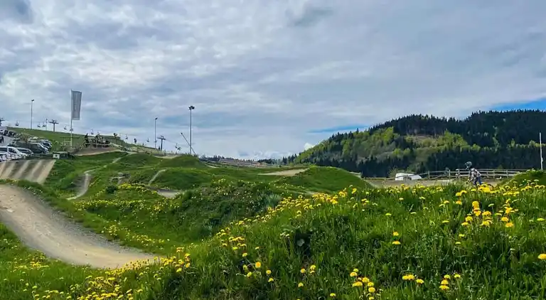 Vakantiehuis in Züschen