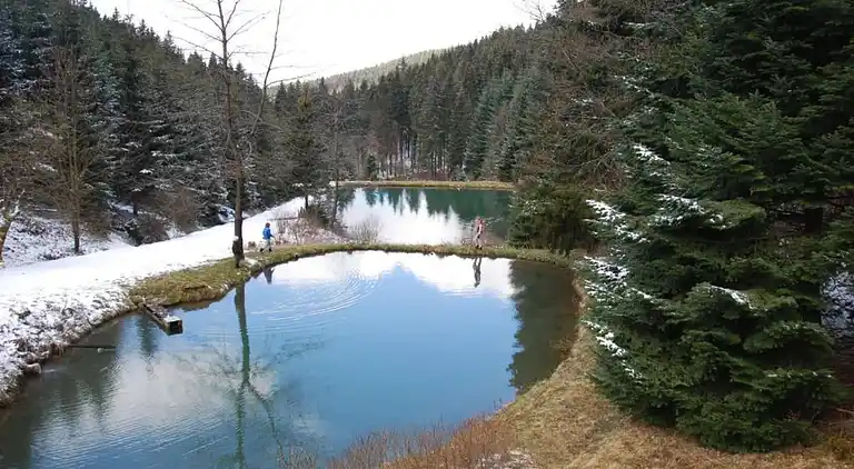 Vakantiehuis in Züschen