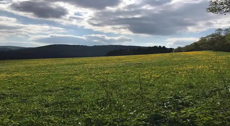 Sommerhus i Neuastenberg
