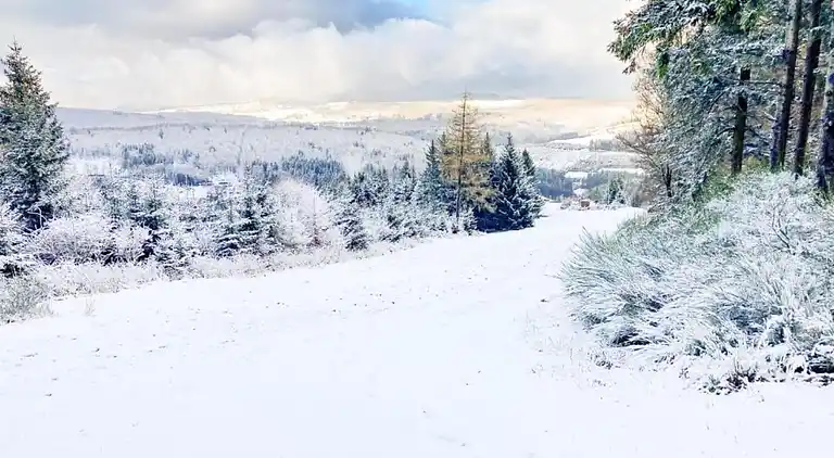 Ferienhaus in Sauerland