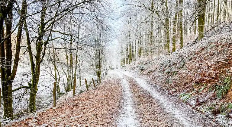 Sommerhus i Neuastenberg