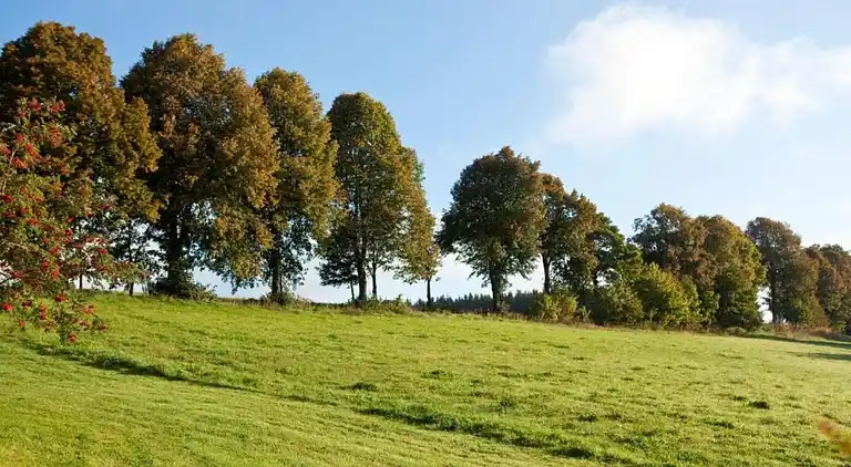 Sommerhus i Neuastenberg