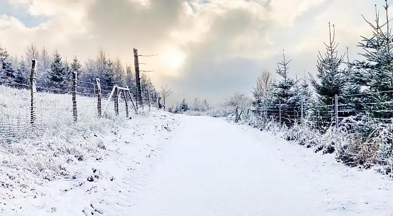 Sommerhus i Neuastenberg