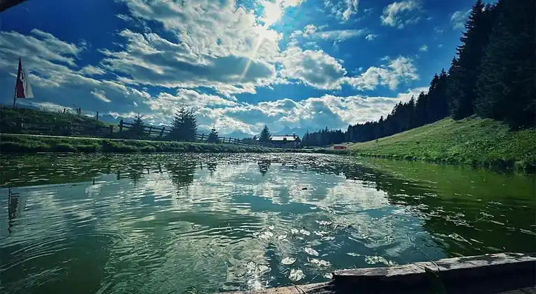 Ferielejlighed i Sankt Gallenkirch