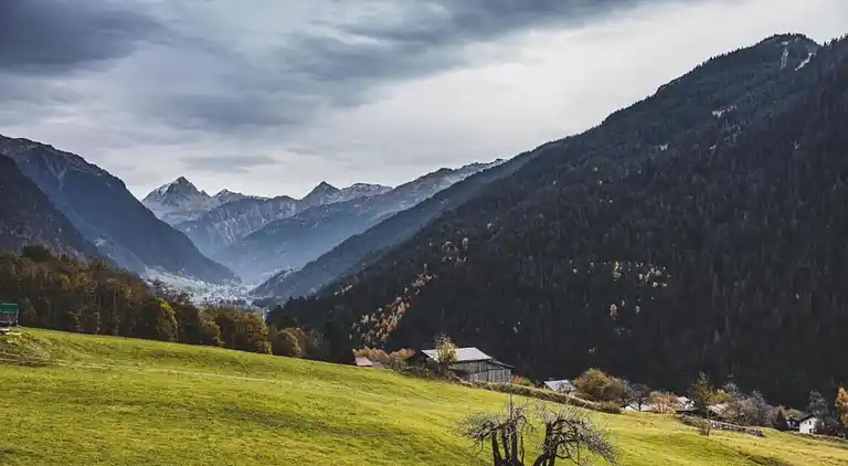 Apartment in Garfrescha