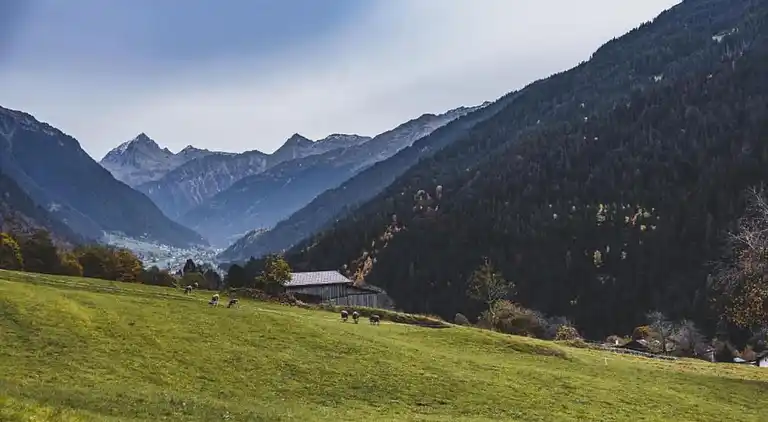 Apartment in Garfrescha