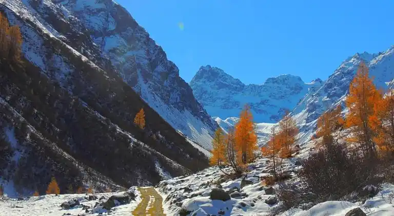 Ferielejlighed i Sankt Gallenkirch