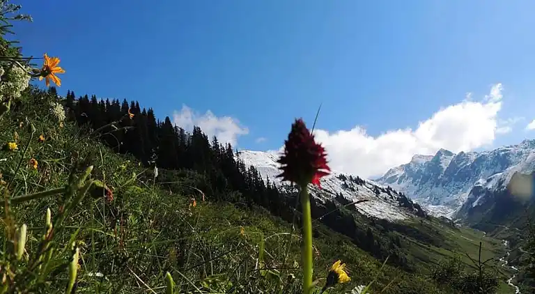 Ferielejlighed i Sankt Gallenkirch