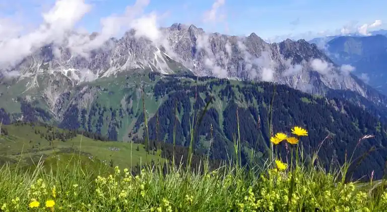 Apartment in Garfrescha