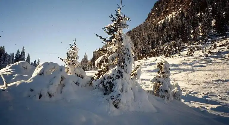 Apartment in Garfrescha