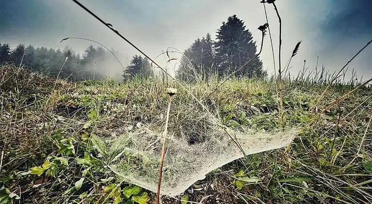 Ferielejlighed i Sankt Gallenkirch