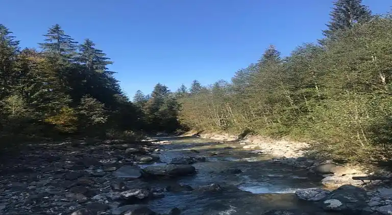 Hytte i Sibratsgfäll