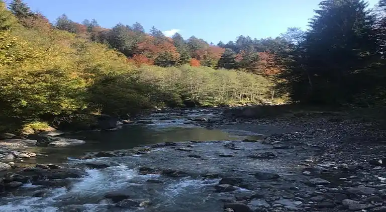 Hytte i Sibratsgfäll