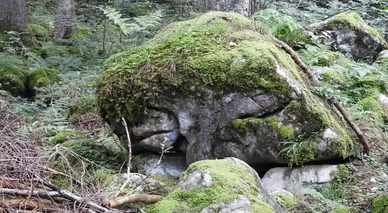 Hytte i Sibratsgfäll