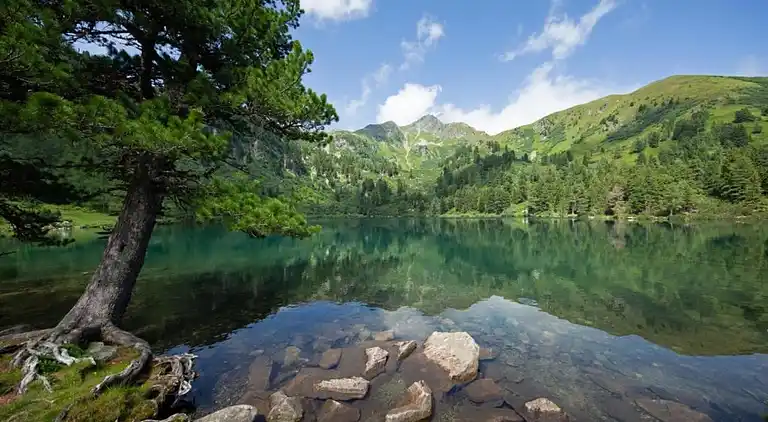 Apartment in Vordernberg