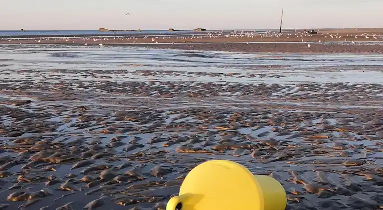 Semesterbostad i Vouilly