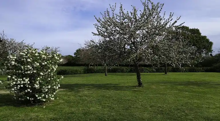 Holiday home in Orbec