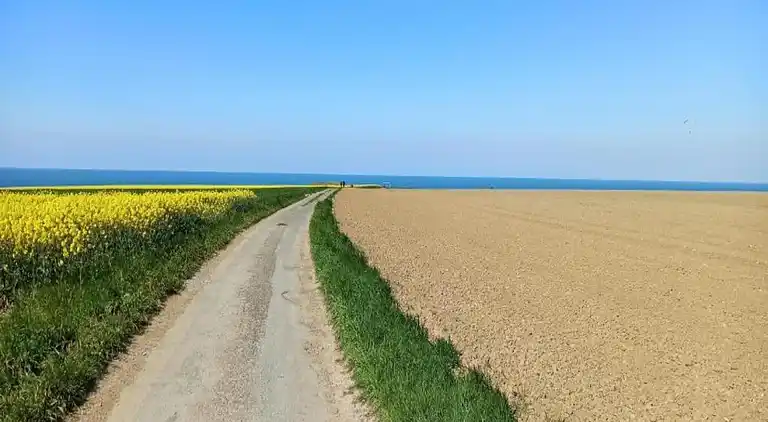 Holiday home in Orbec