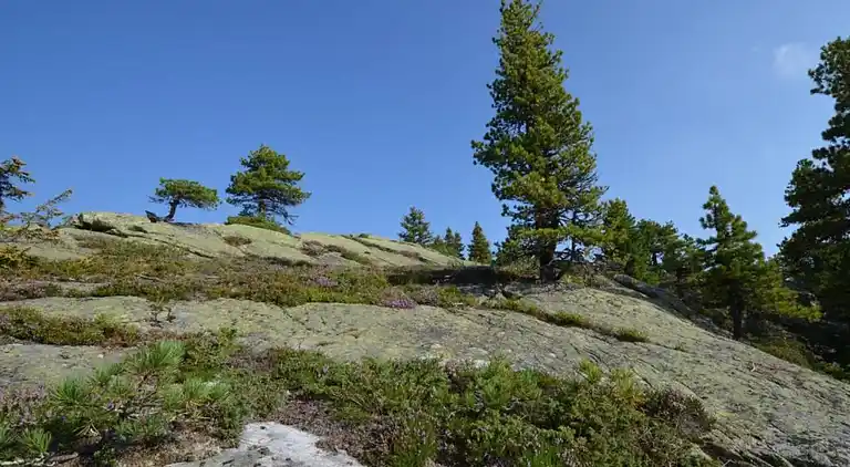 Holiday home in Pruggern