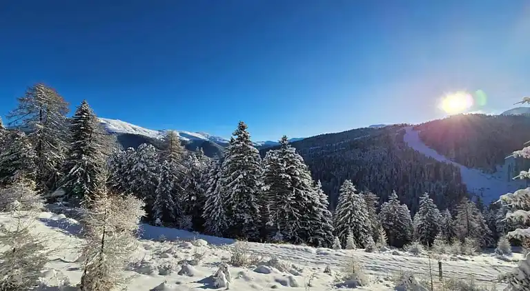 Apartment in Rohrmoos-Untertal