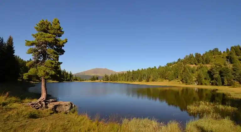 Holiday home in Pruggern