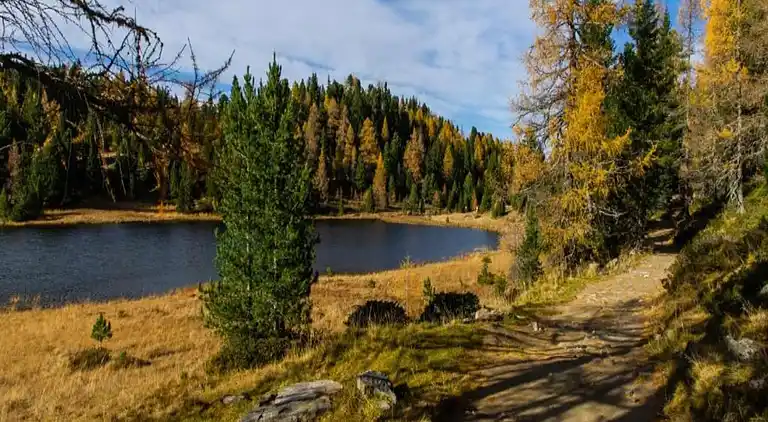 Holiday home in Pruggern
