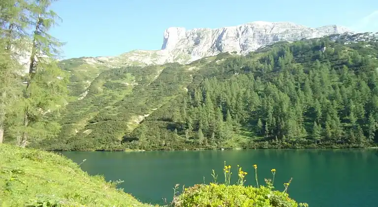 Apartment in Tauplitz