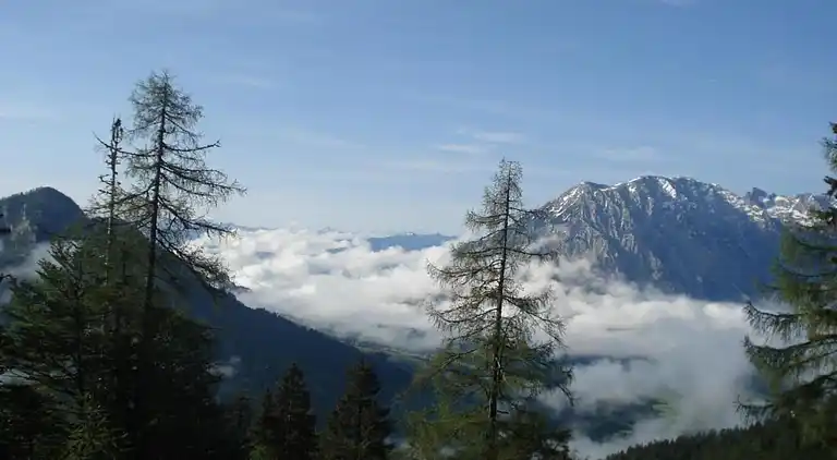 Apartment in Tauplitz