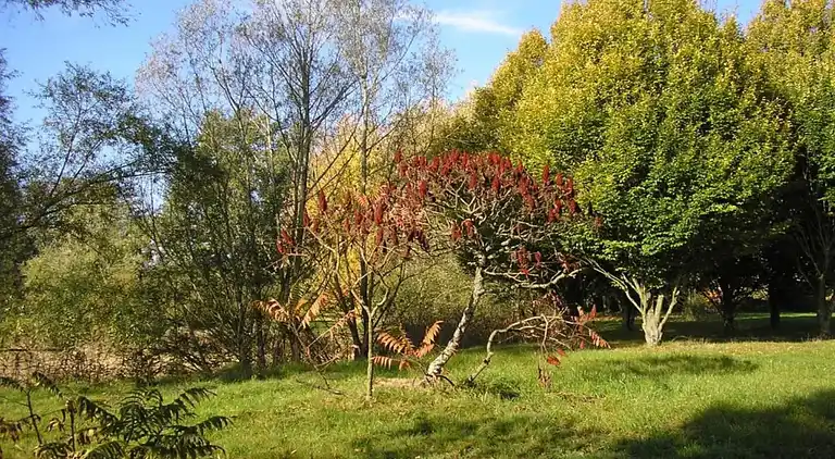 Villa en Saint-Saturnin-lès-Apt