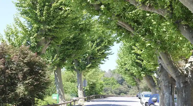 Sommerhus i Cavaillon