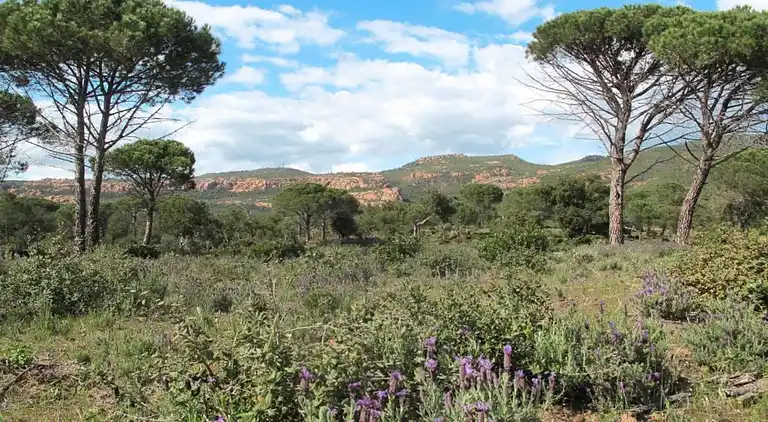 Sommerhus i Cavaillon