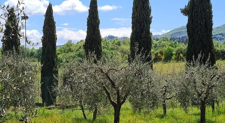 Holiday home in San Martino