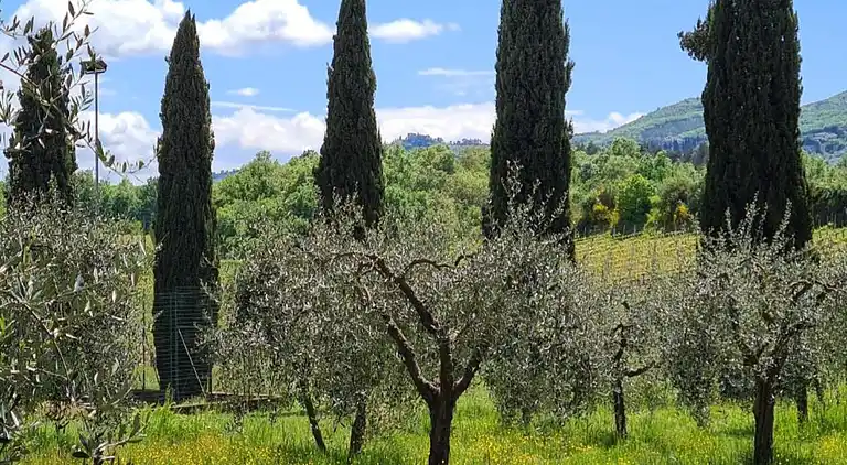 Farm house in Bucine