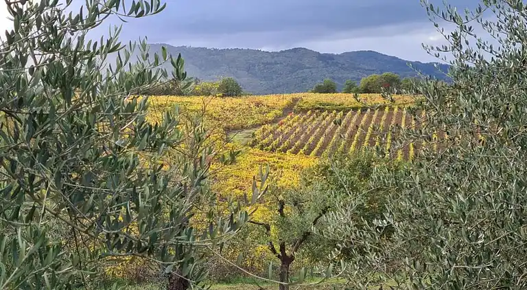 Holiday home in San Martino