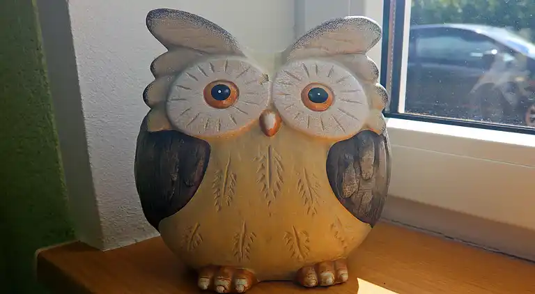 Bungalow i Reddelich