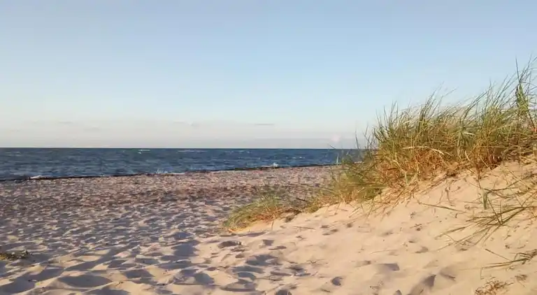 Sommerhus i Buschmühlen