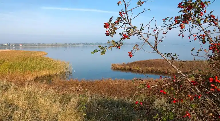 Bungalow i Kirchdorf