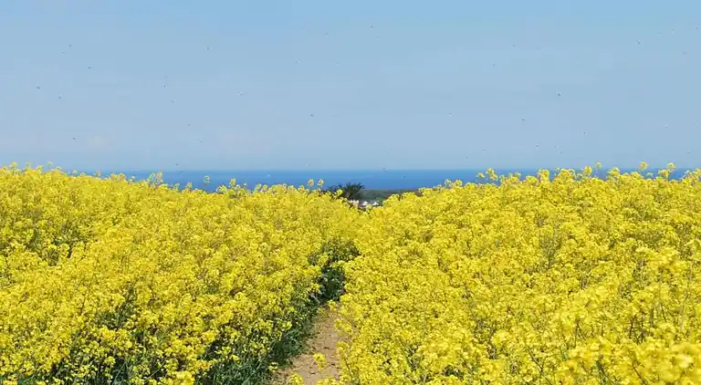 Sommerhus i Buschmühlen