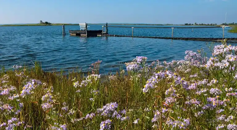 Bungalow i Kirchdorf