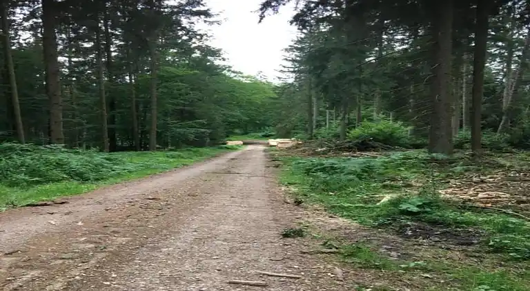 Ferielejlighed i Klütz