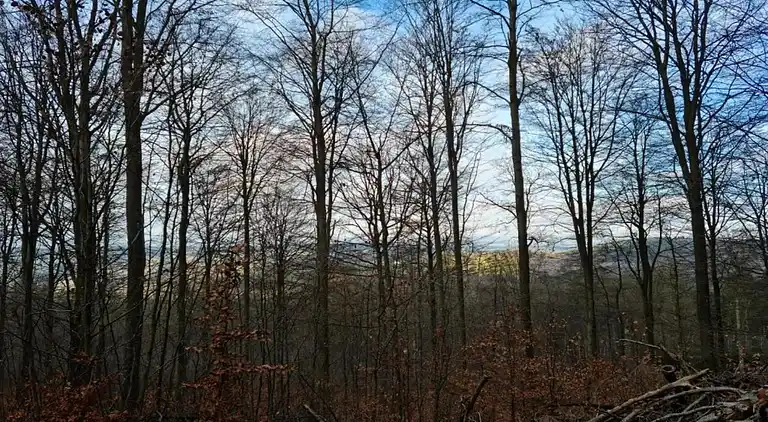 Ferielejlighed i Klütz