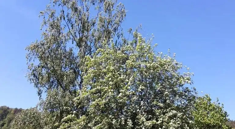 Ferielejlighed i Klütz