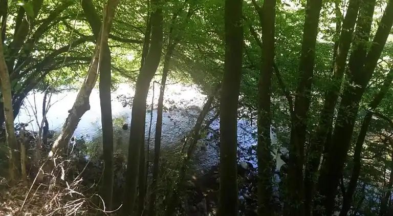 Ferielejlighed i Klütz