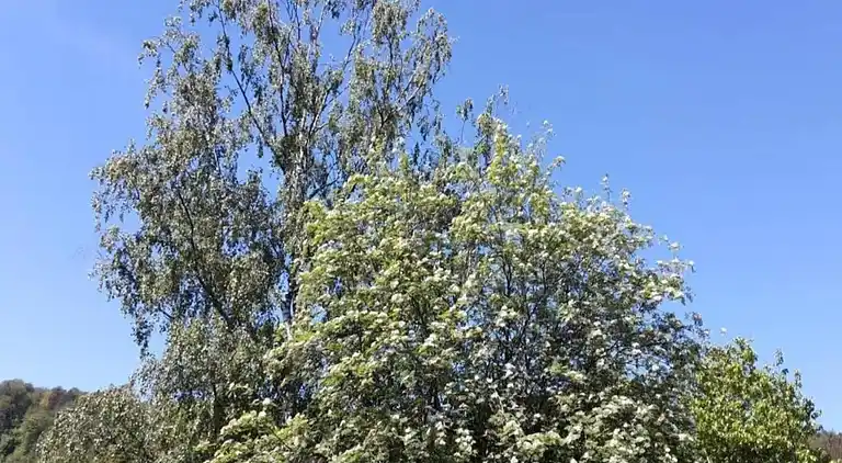 Bungalow i Weitendorf-Hof