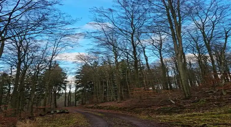 Bungalow i Weitendorf-Hof