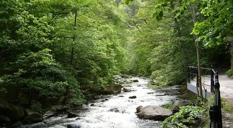 Casa vacanze in Weddersleben