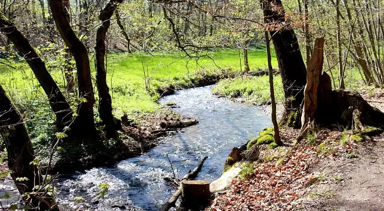 Sommerhus i Wetzelsgrün
