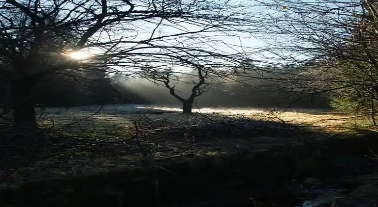 Sommerhus i Wetzelsgrün