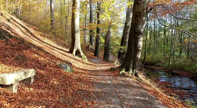 Sommerhus i Wetzelsgrün