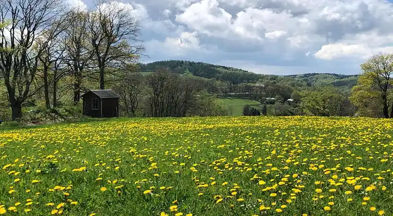 Sommerhus i Deutschneudorf
